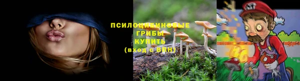 ALPHA-PVP Алексеевка