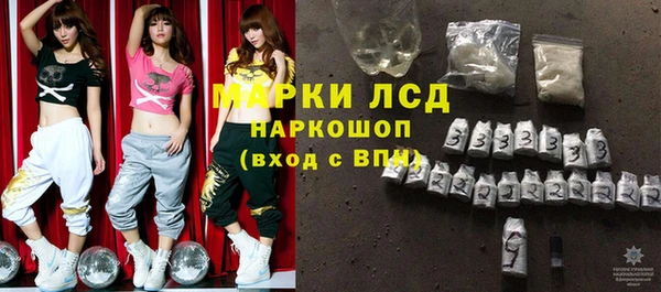 стаф Алексин