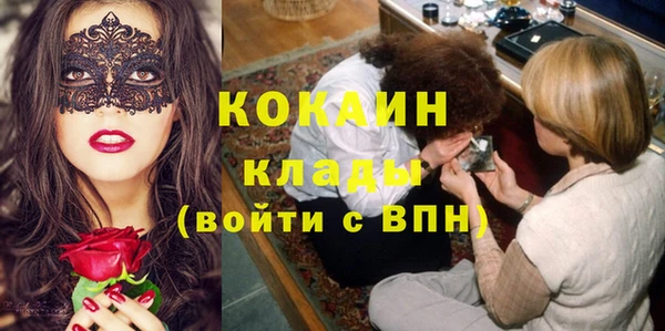 стаф Алексин