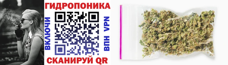 цены наркотик  shop наркотические препараты  Конопля White Widow  Билибино 